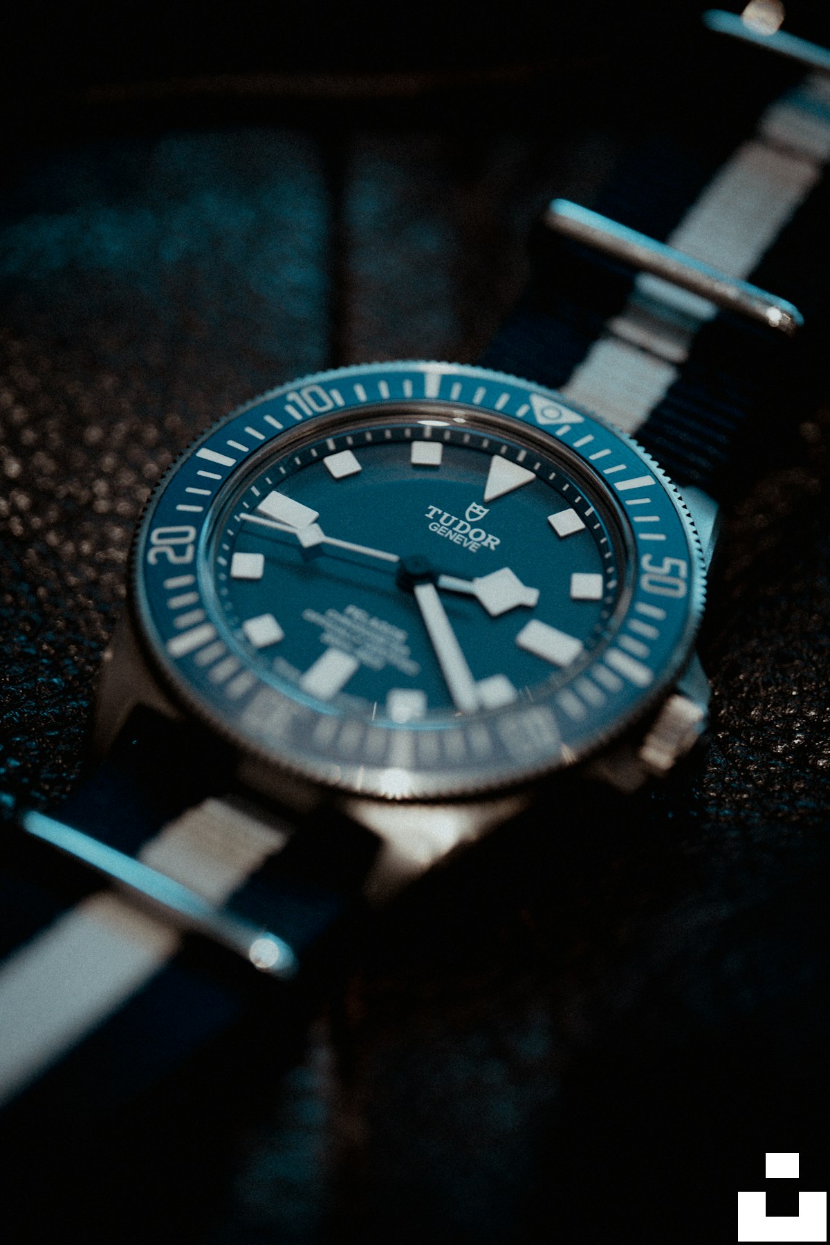 Representative Tudor watch photography